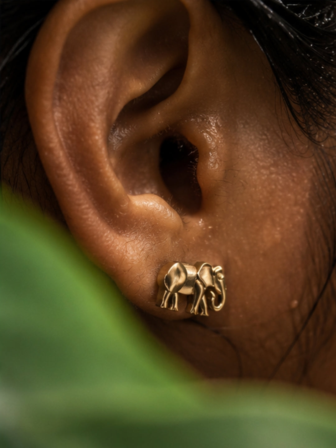 Elephant • Brass Earrings Studs