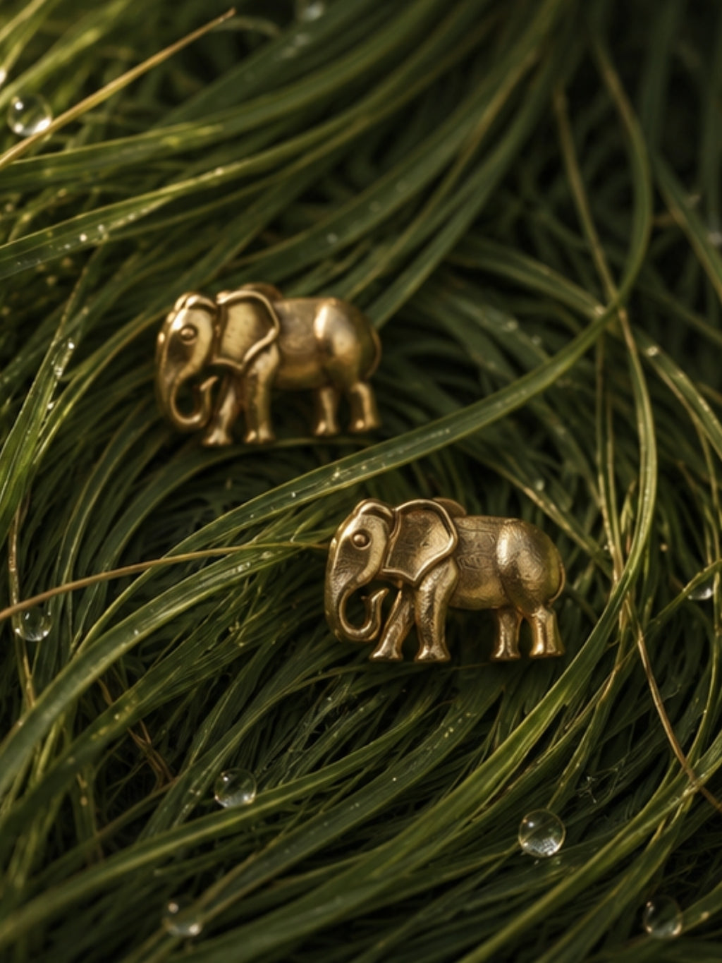 Elephant • Brass Earrings Studs