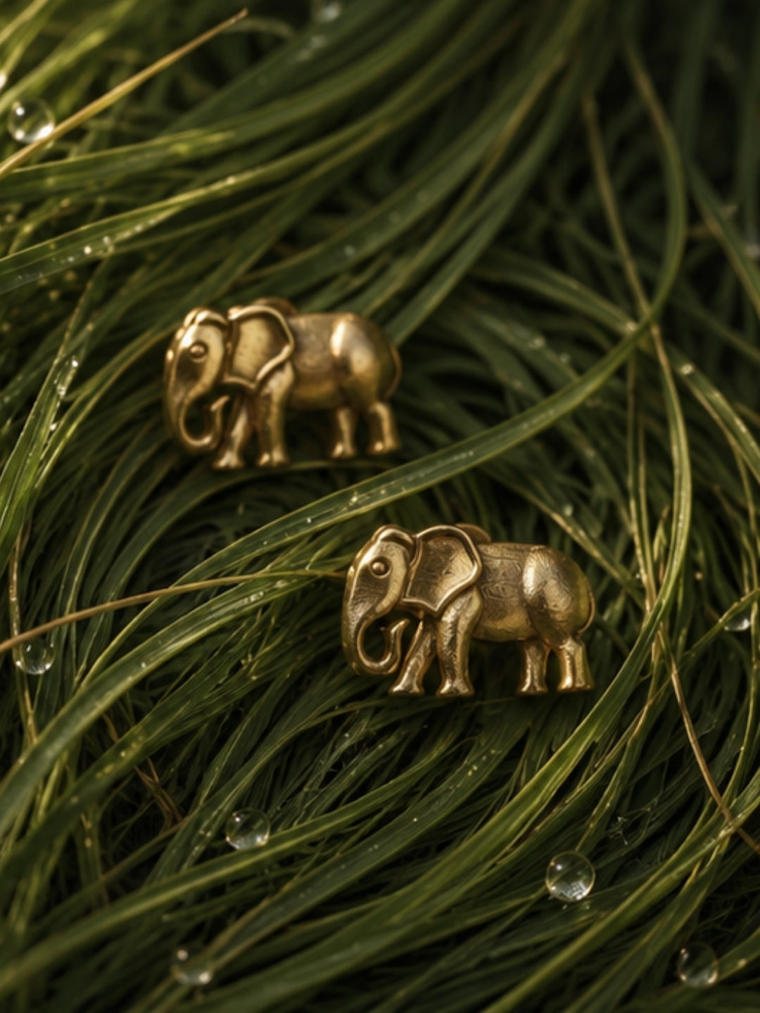 Elephant • Brass Earrings Studs
