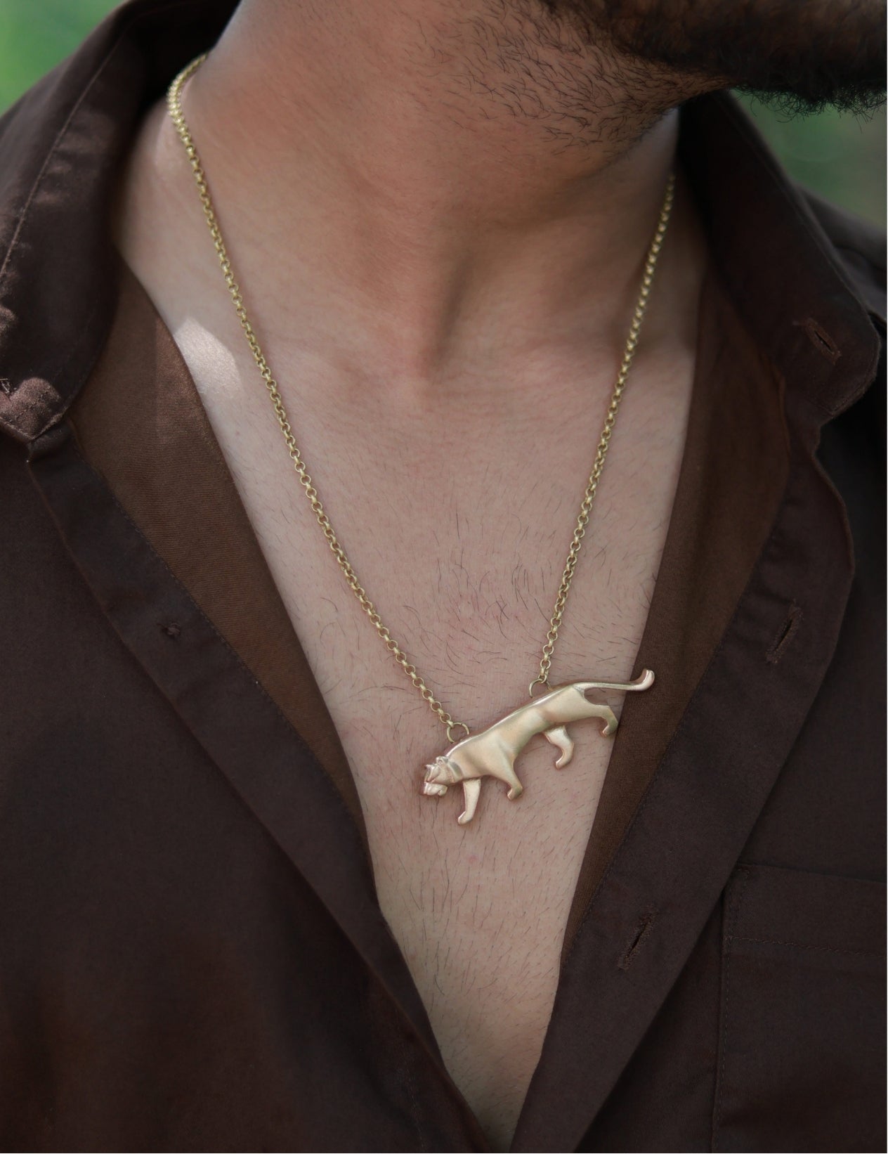 Royal Bengal Tiger • Brass Pendant with Chain